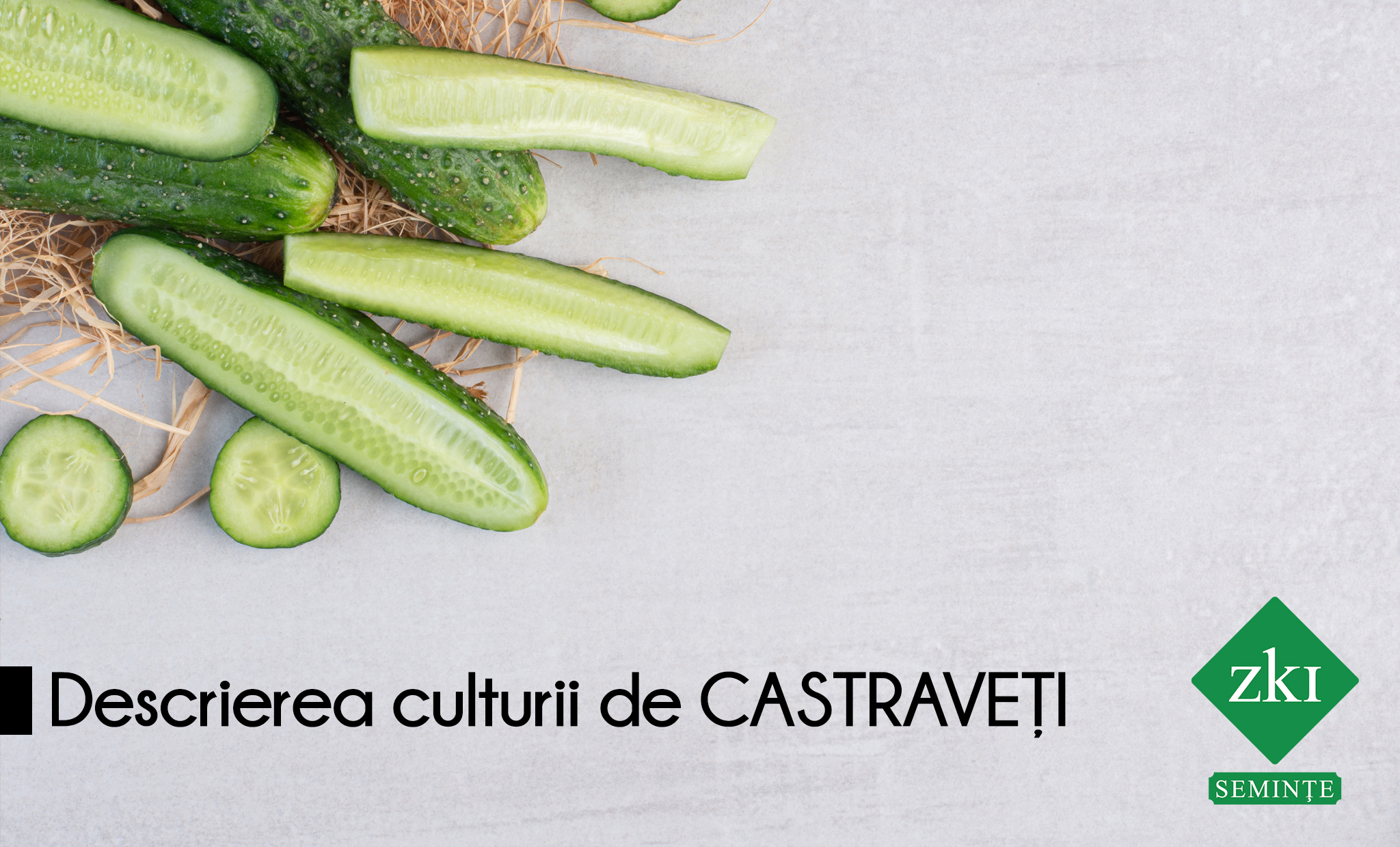 Castraveți – Cucumis sativum, fam. Cucurbitaceae!
